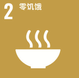 SDG 2 �㼢��